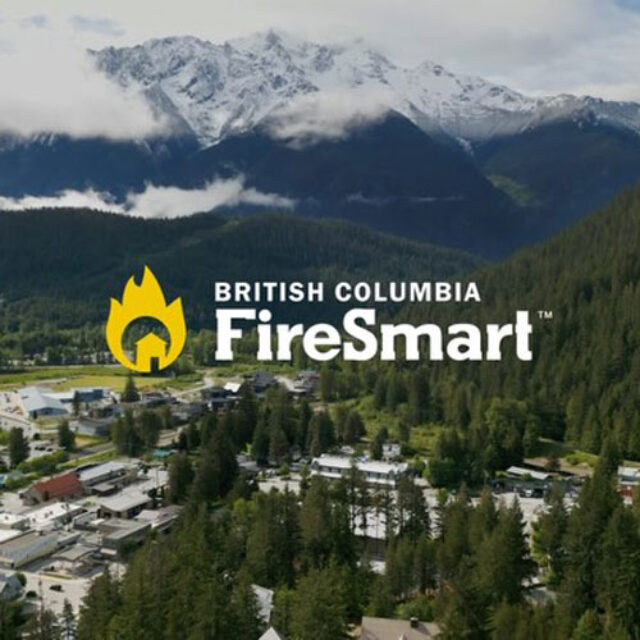 Forest Fuel Reduction Treatment