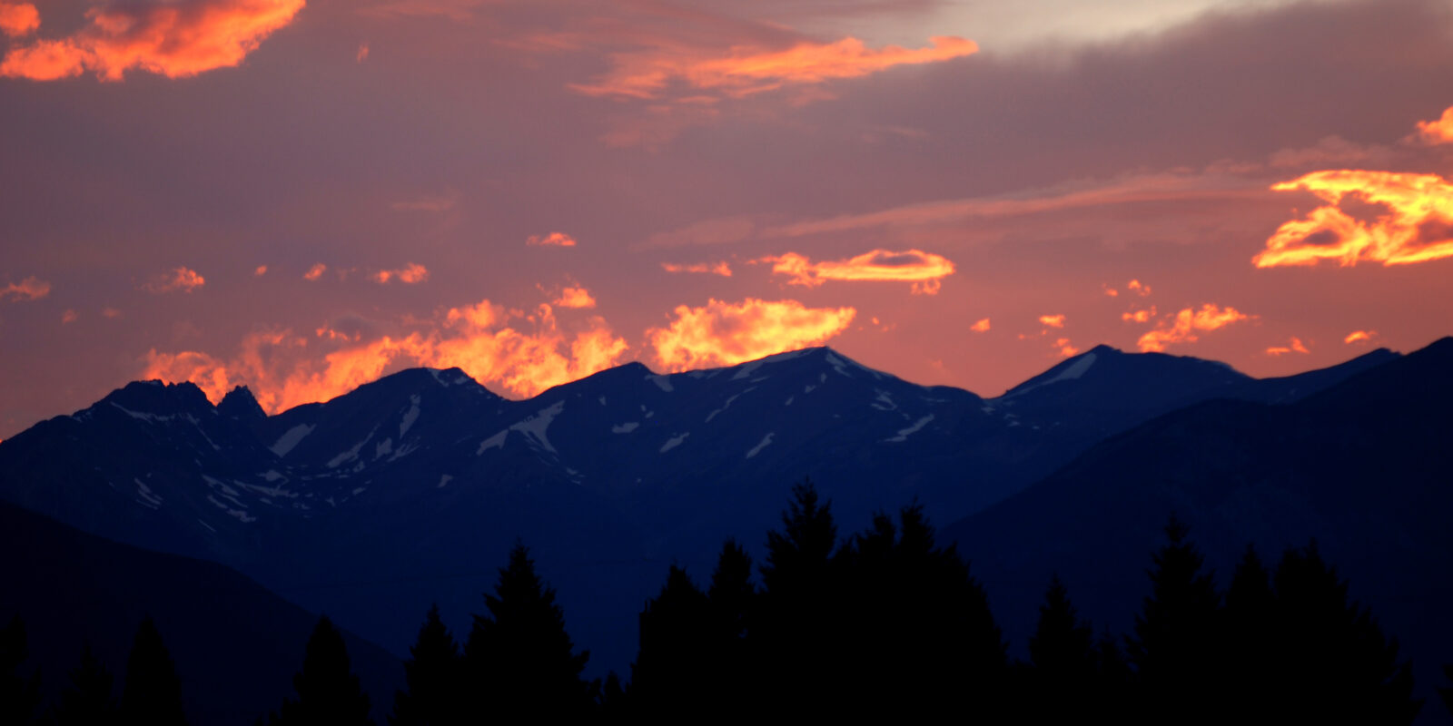 Bram Rossman Photos 541