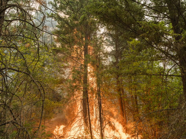 May 5 Firesmart Presentation – Reducing Risk!