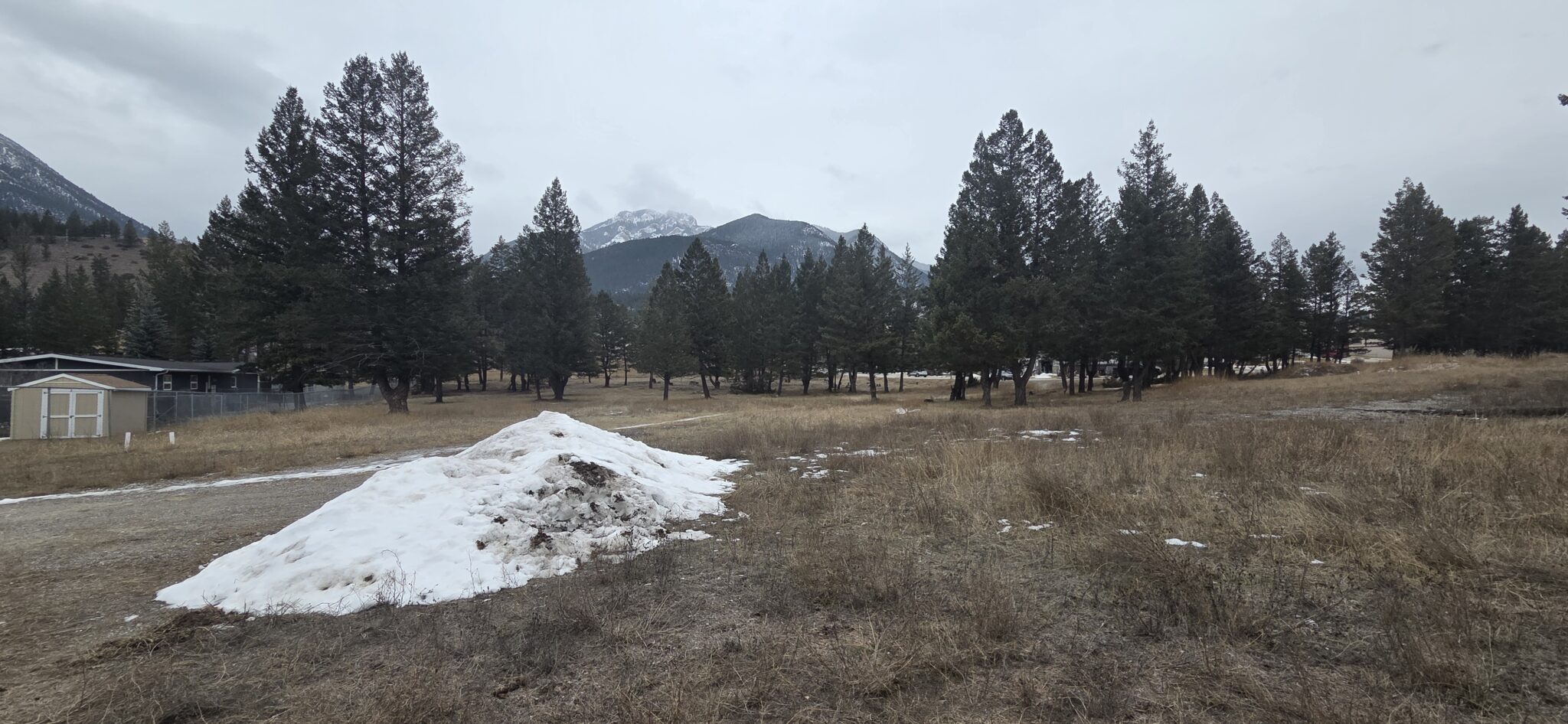 Fuel Treatment on Village Property - Village of Radium Hot Springs